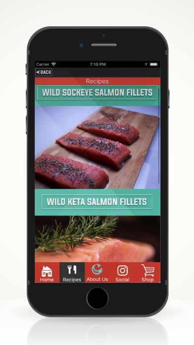 Wild Salmon Cookbook screenshot 3