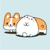 Dog and Cat Relationship app icon - Stickers app for iPhone