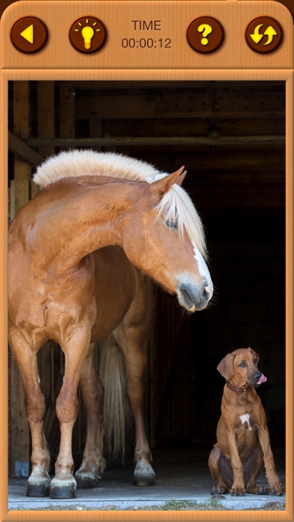 Horses Jigsaw Puzzles for Kids screenshot-4