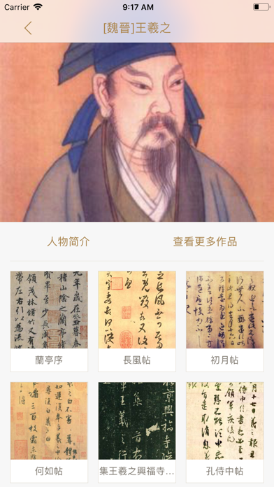 Chinese Calligraphy Book Screenshot