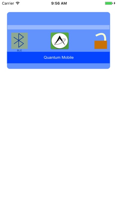 QuantumMobileAccess screenshot 4