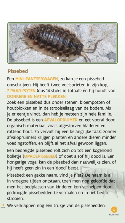 Bodemhelden screenshot-3