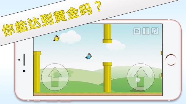 2只软盘鸟 - 双鹦鹉的乐趣(圖4)-速報App