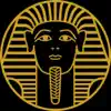 King Tut: The Exhibition App Feedback