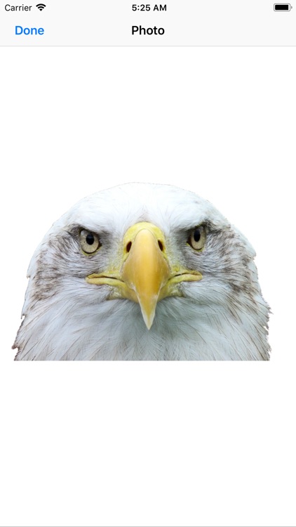 Exquisite Eagle Stickers