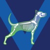 Bone Viewer - Dog Skeleton