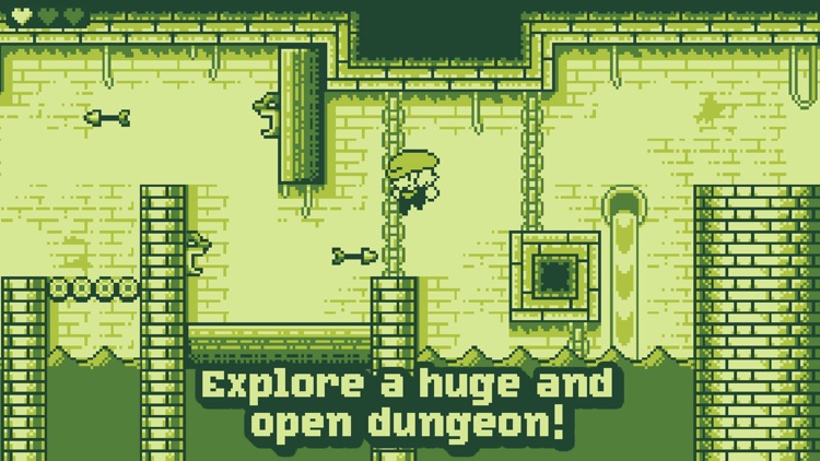 Tiny Dangerous Dungeons