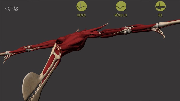 PterosaVR screenshot-6