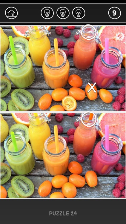 Find the 10 Differences. screenshot-8
