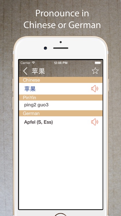 Chinese German Dictionary 中德字典