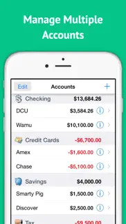 checkbook ledger iphone screenshot 3