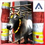 Get Pongal Jallikattu Run for iOS, iPhone, iPad Aso Report