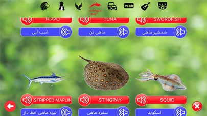 انگلیسی برای کودکان screenshot 3