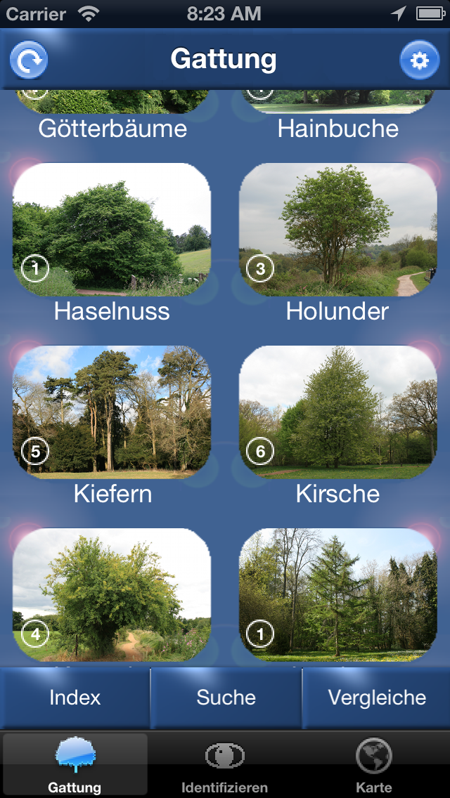 Baum Id Germany Screenshot