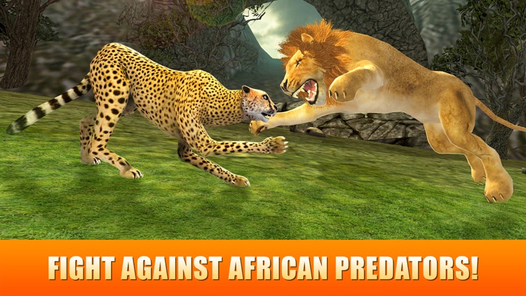 Fury Cheetah Deathmatch Fighting