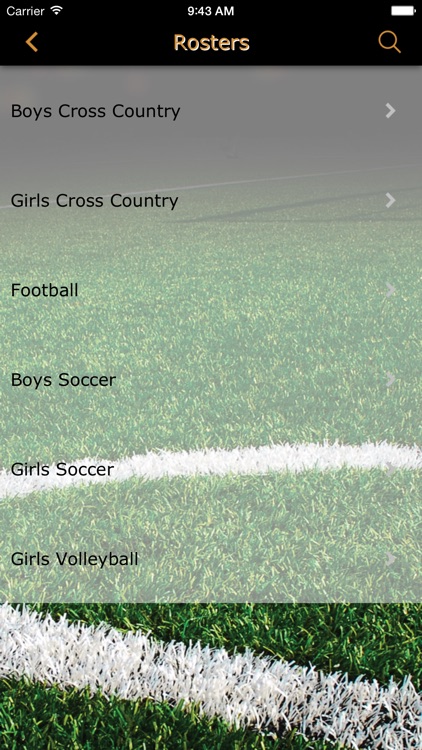 Saint Bernard Saints