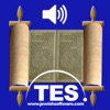 Hebrew Psalms Reader - iPadアプリ