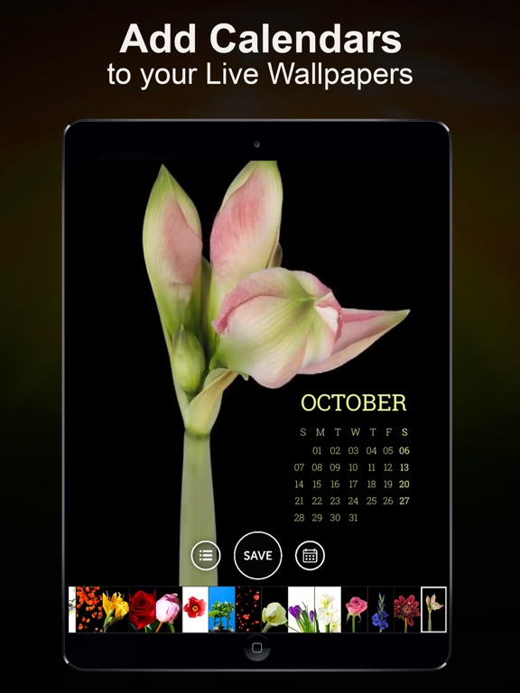 Live Wallpapers Unlimited iPad screenshot 4 - Lifestyle app