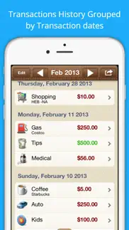 easy expenses tracker iphone screenshot 2