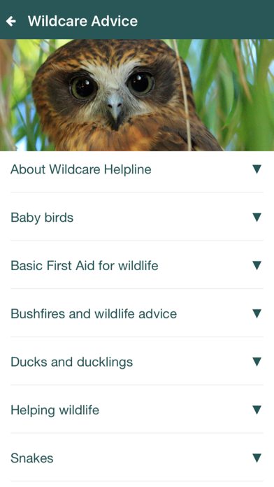 Screenshot #1 pour Wildcare Helpline