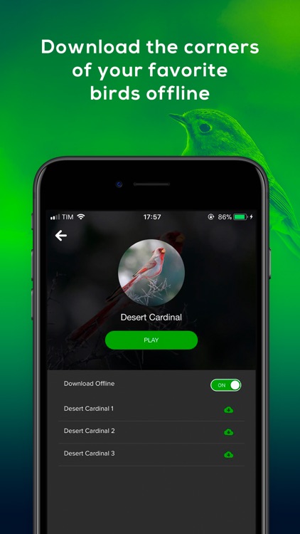 Birds of America - All Birds screenshot-3
