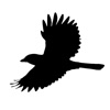 Fuglefeltguiden icon