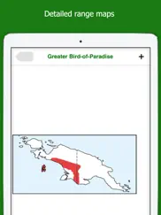 birds of new guinea ipad images 3