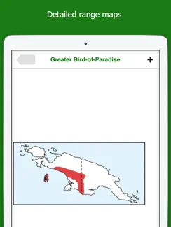 Birds of New Guinea iPad image 3