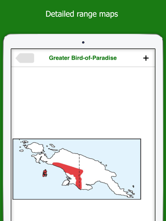 Screenshot #6 pour Birds of New Guinea
