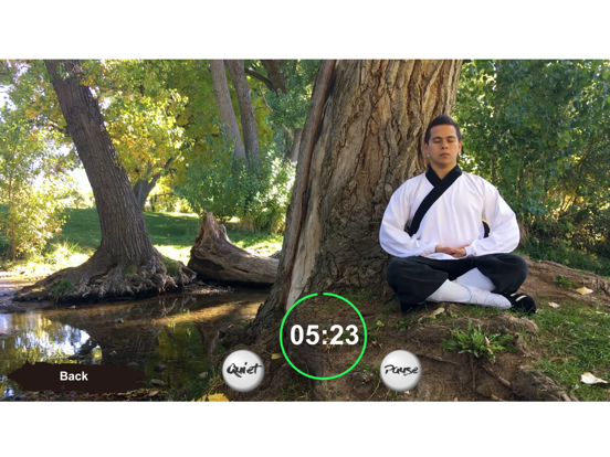 Tai Chi Trainer XR iPad screenshot 8 - Health & Fitness app