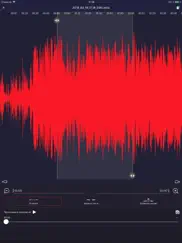 диктофон - запись рекорд голо айпад изображения 2