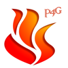 P4G Pty Ltd - NSW Fires アートワーク