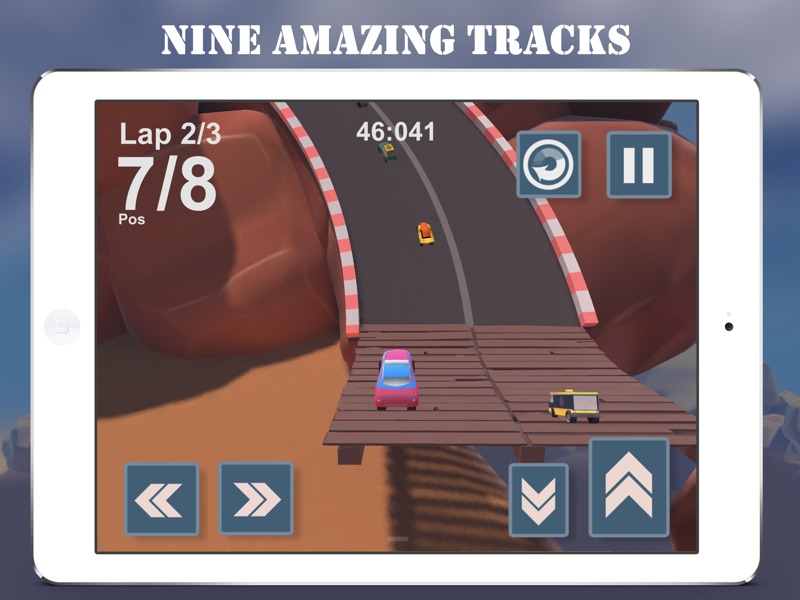Canyon Race screenshot 12