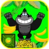 Gorilla Collects Bananas