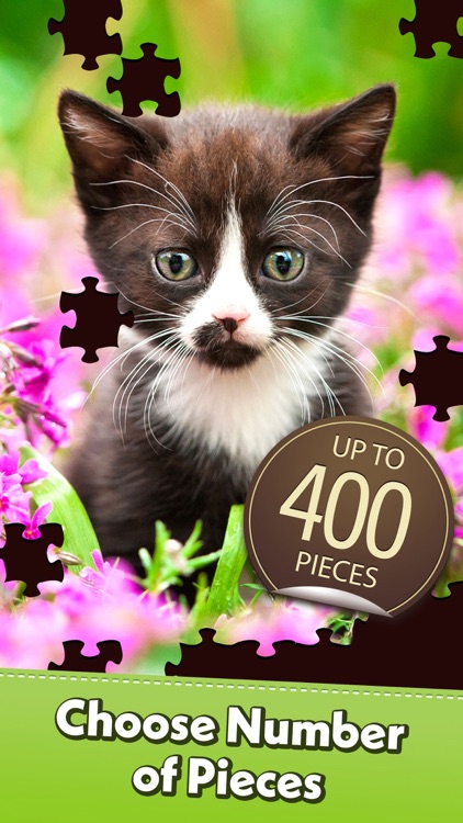 Jigsaw Puzzle screenshot-3