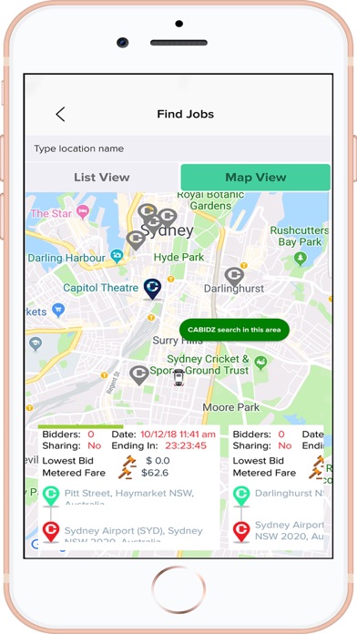 CABIDZ DRIVER Screenshot