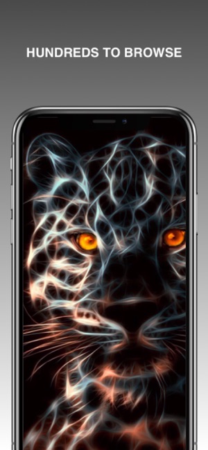 Neon Animal Wallpapers(圖2)-速報App