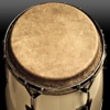 Icon Conga Drums