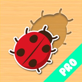 屏幕截图 (9) Fun Insect Shape Blocks Puzzle