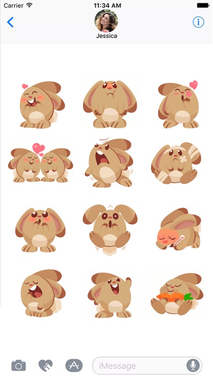 Little Bunny Stickers