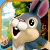Pocket Rabbit Catch Escape Run - iPadアプリ