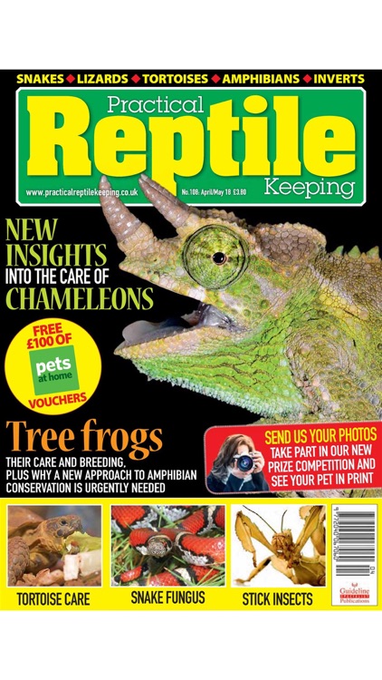 Practical Reptile Keeping