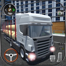 Activities of Real Truck Cargo Transport 3D