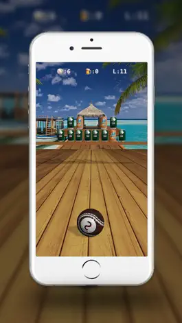 Game screenshot Bear Can Shooter hack