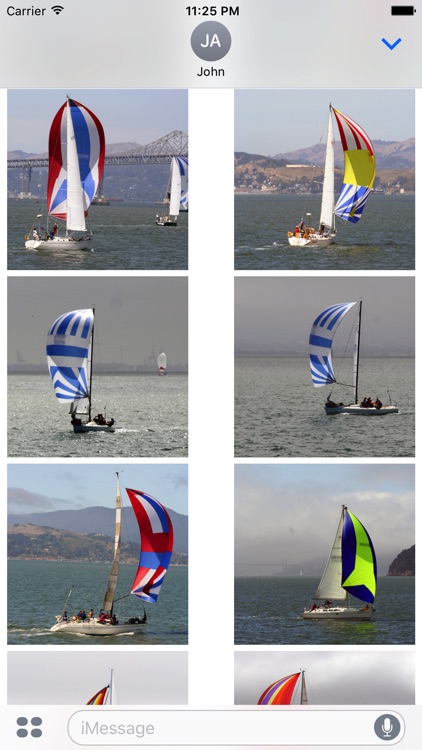 Sail Race