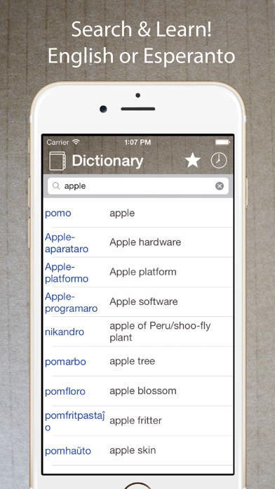 Esperanto English Dictionary Screenshot