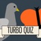 Turbo Quiz is a game about quickly answering simple questions