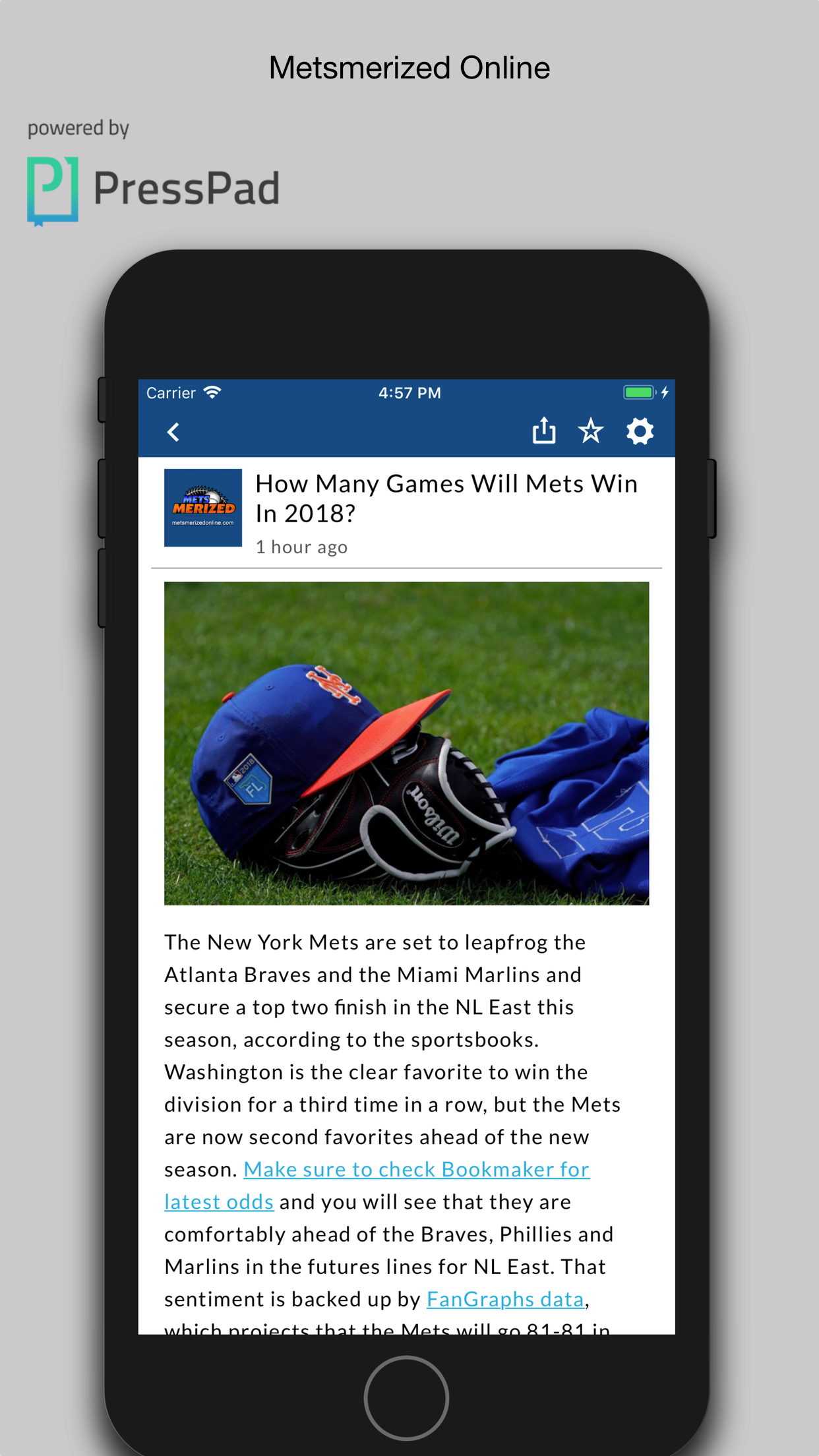 Metsmerized Online screenshot 2