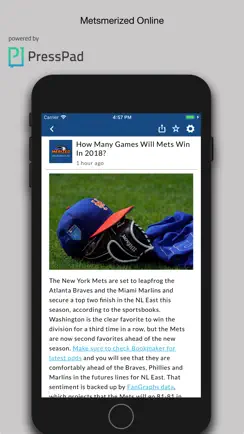 Metsmerized Online iPhone image 2
