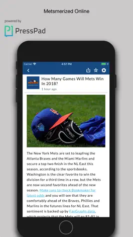 Game screenshot Metsmerized Online apk